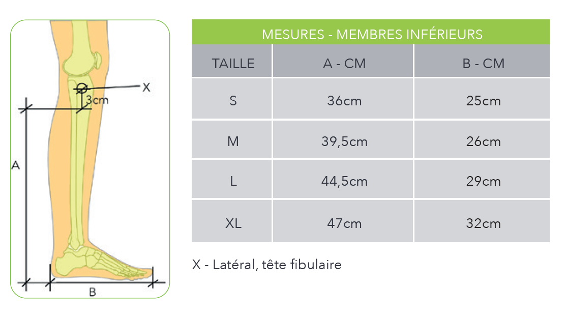Guide des tailles Fast LITE memb inf